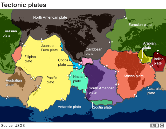 The tectonic plates are shifting in organ